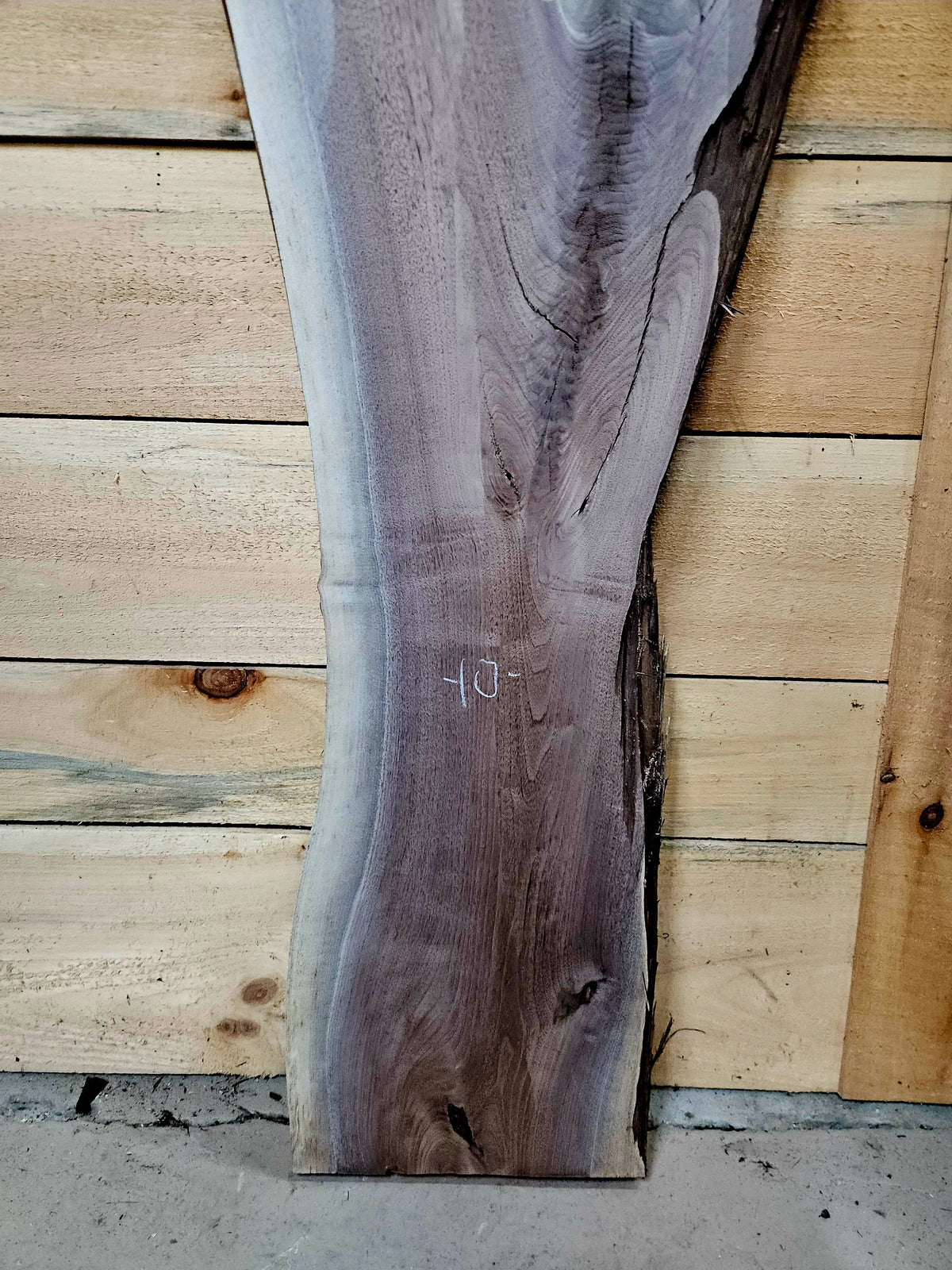 1932 Walnut Live Edge Slab – 48" × 10" - 16" × 8/4" – product image 3