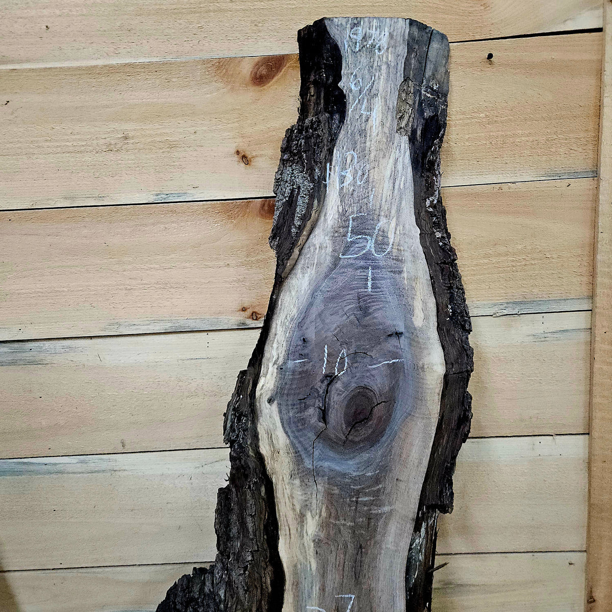 1978 Walnut Live Edge Slab – 50" × 7 - 17" × 6/4"