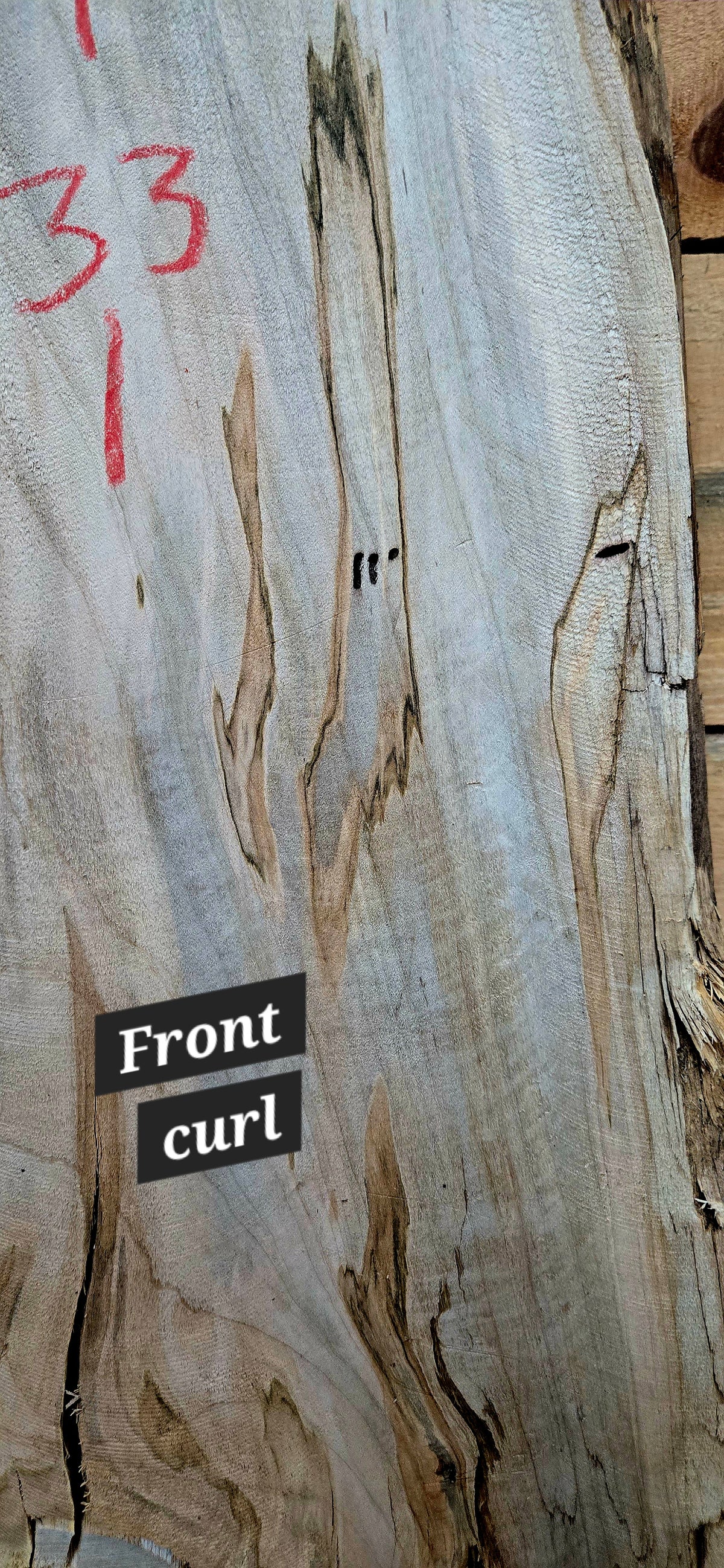 Curly Spalted Ambrosia Maple live edge slab #1841, view 2