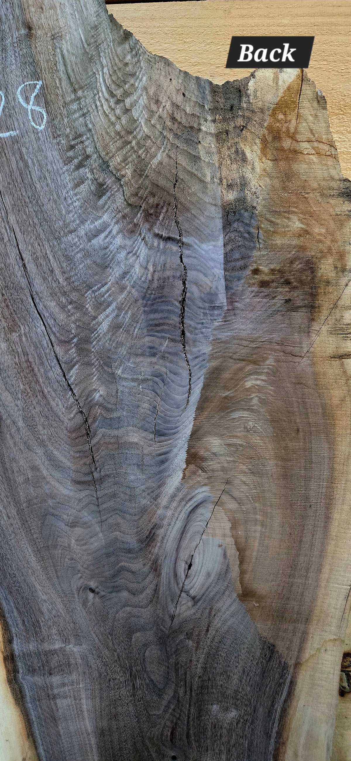 1828 Walnut live edge slab – product image 4