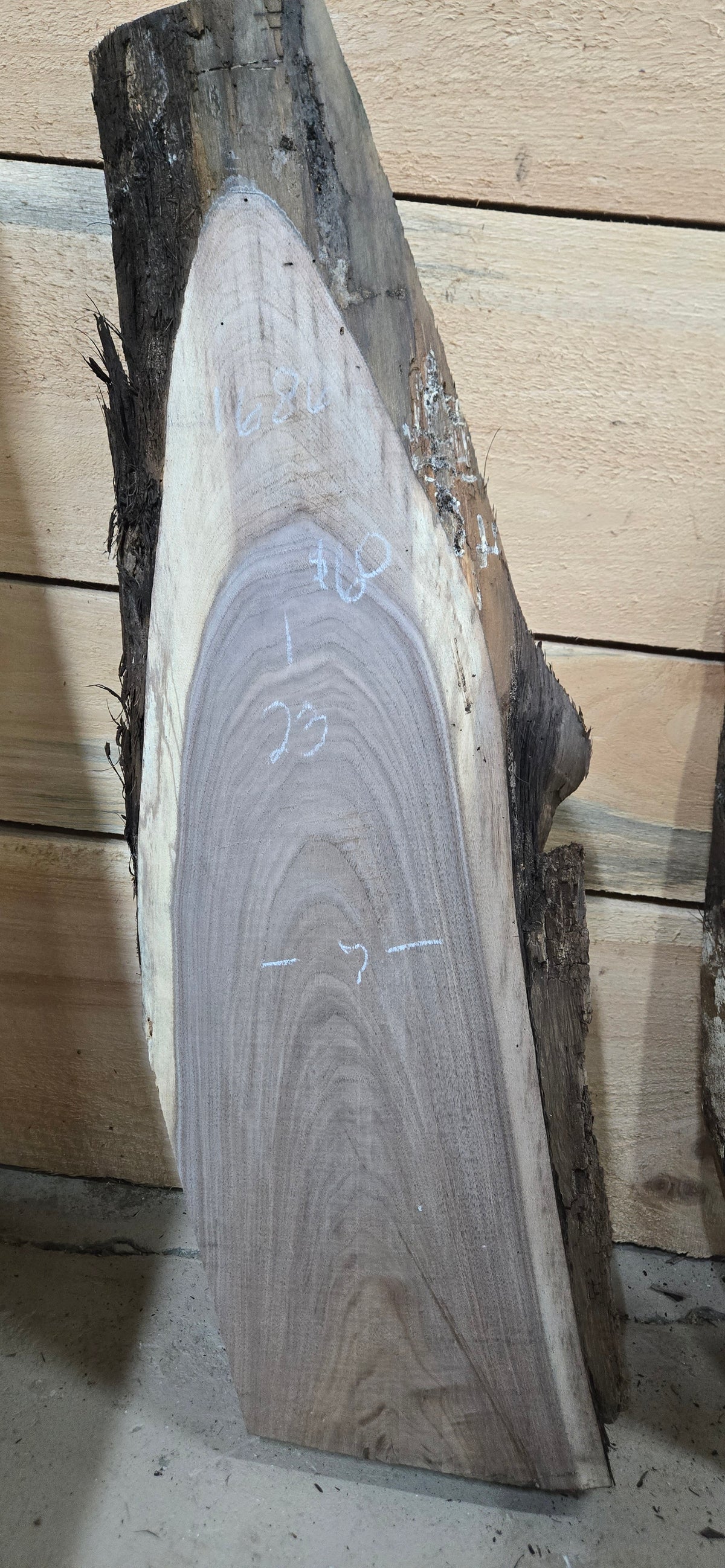 1686 Walnut 3-Piece DIY Wood Bundle, view 5