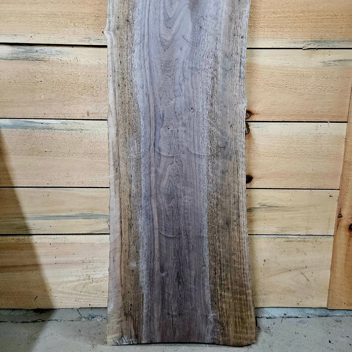 1955 Walnut Live Edge Slab – 53" 10 - 11" × 8/4"
