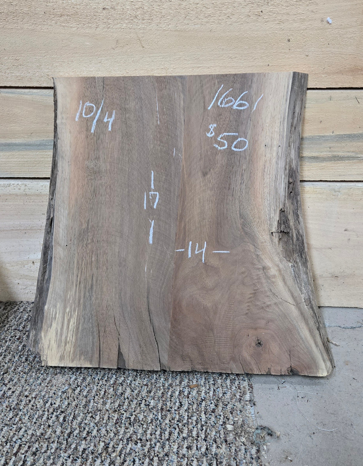 Walnut live edge slab #1661, view 1