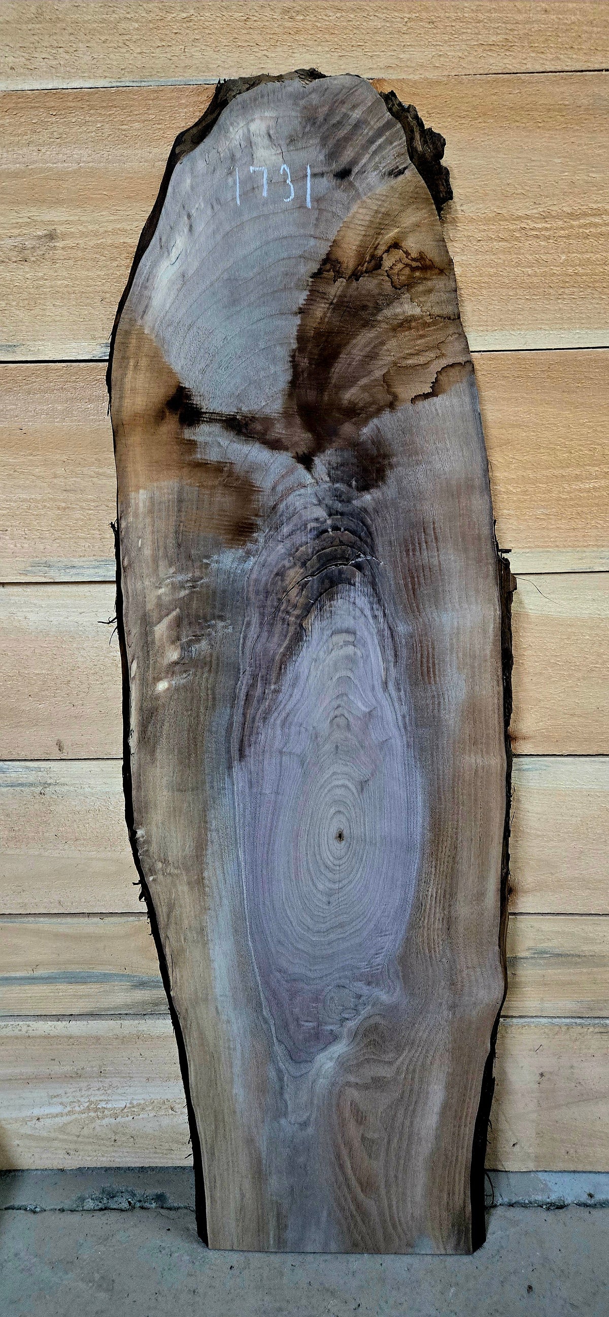 Walnut live edge slab #1731, view 2