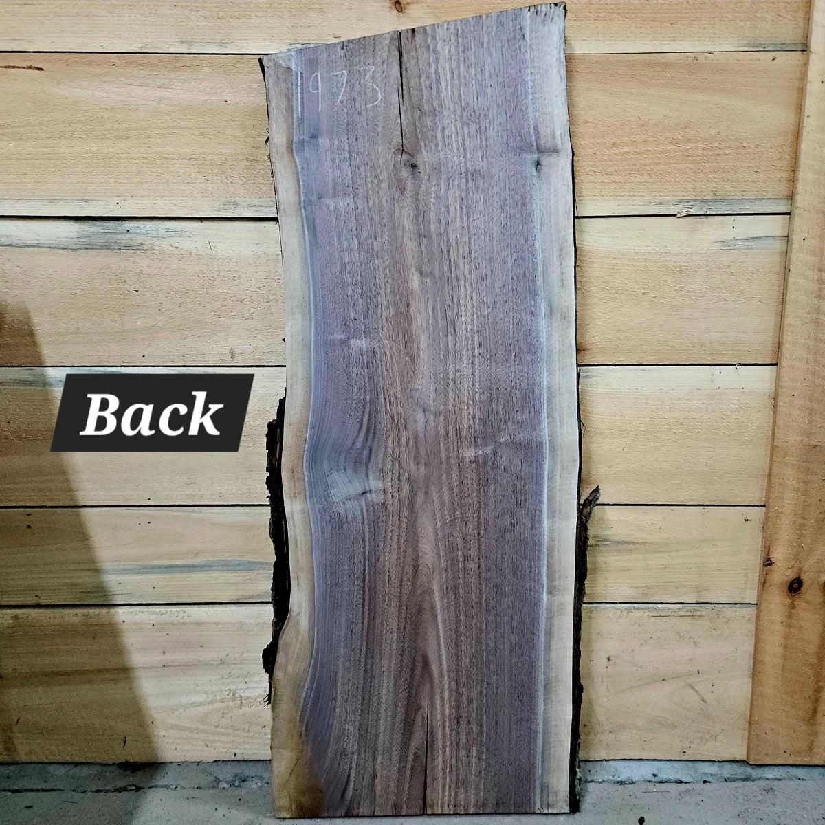1973 Walnut Live Edge Slab – 41" × 14" × 7/4"