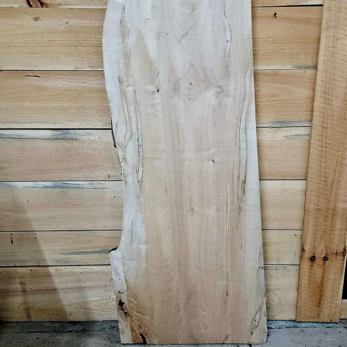 2013 Curly Ambrosia Maple Live Edge Slab – 66" × 20" × 6/4"