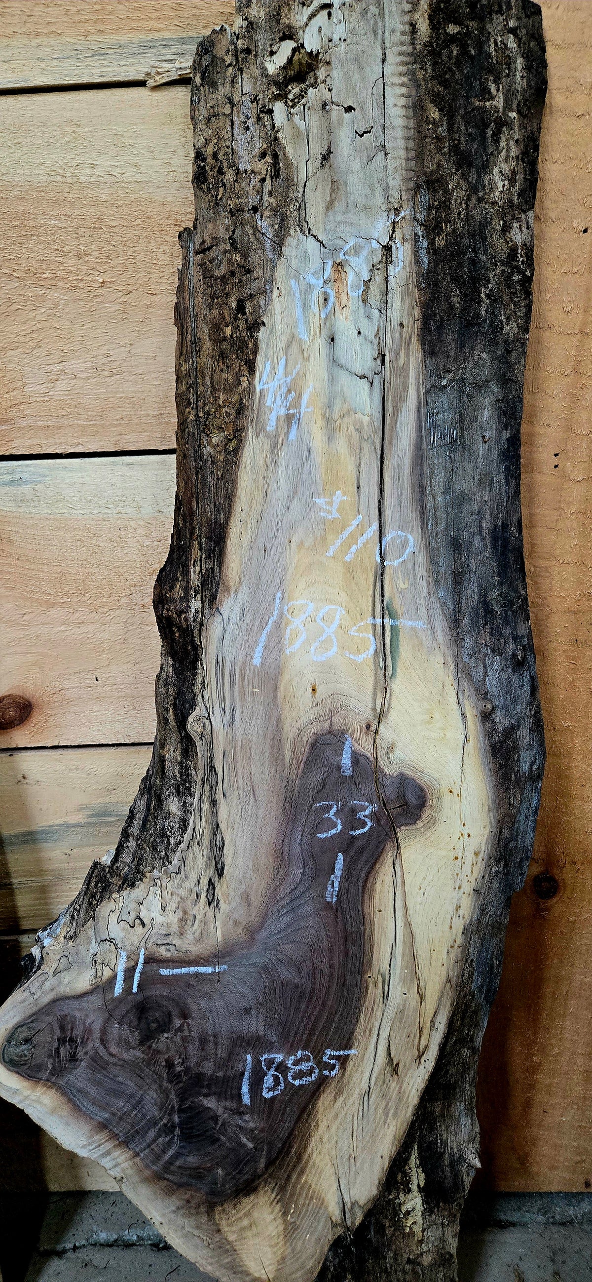 1885 Walnut 3-Piece DIY Wood Bundle, view 4