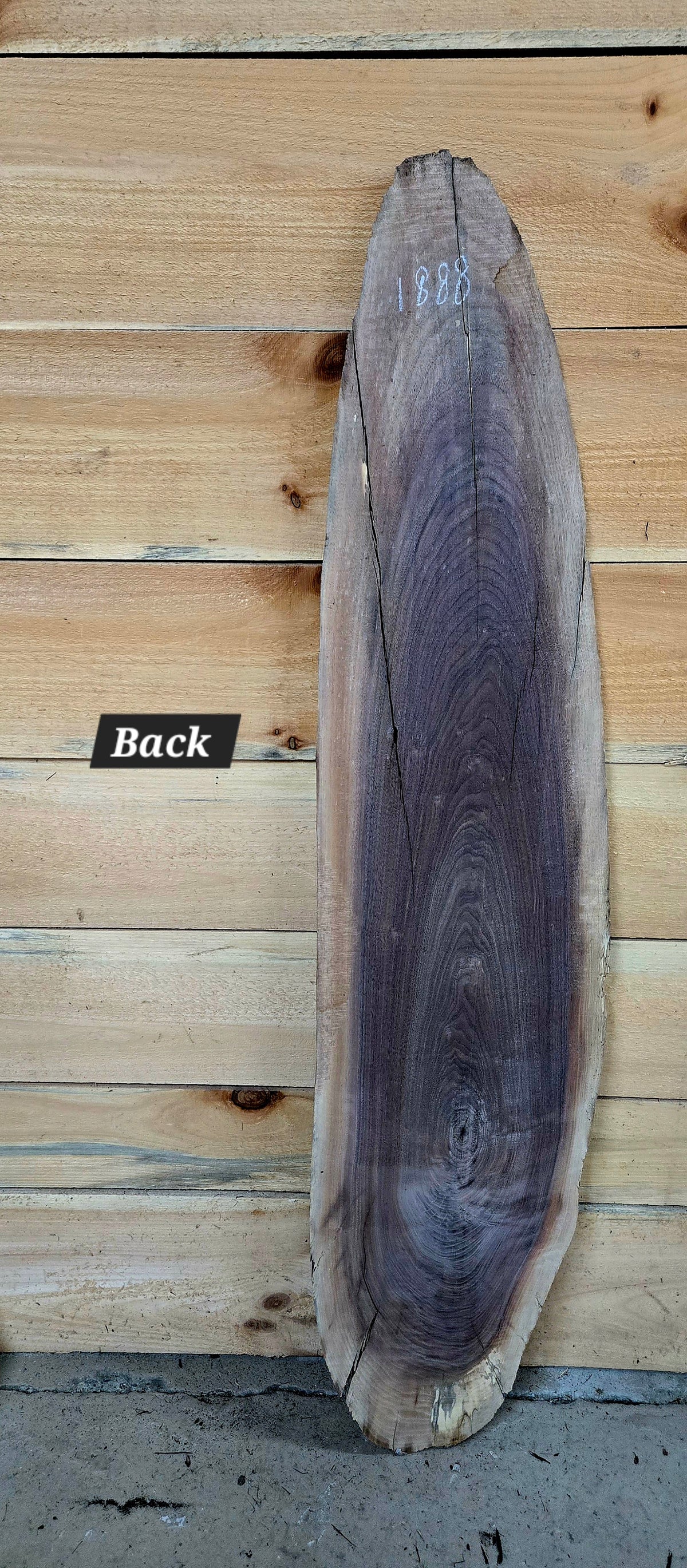 Walnut live edge slab #1888, view 3