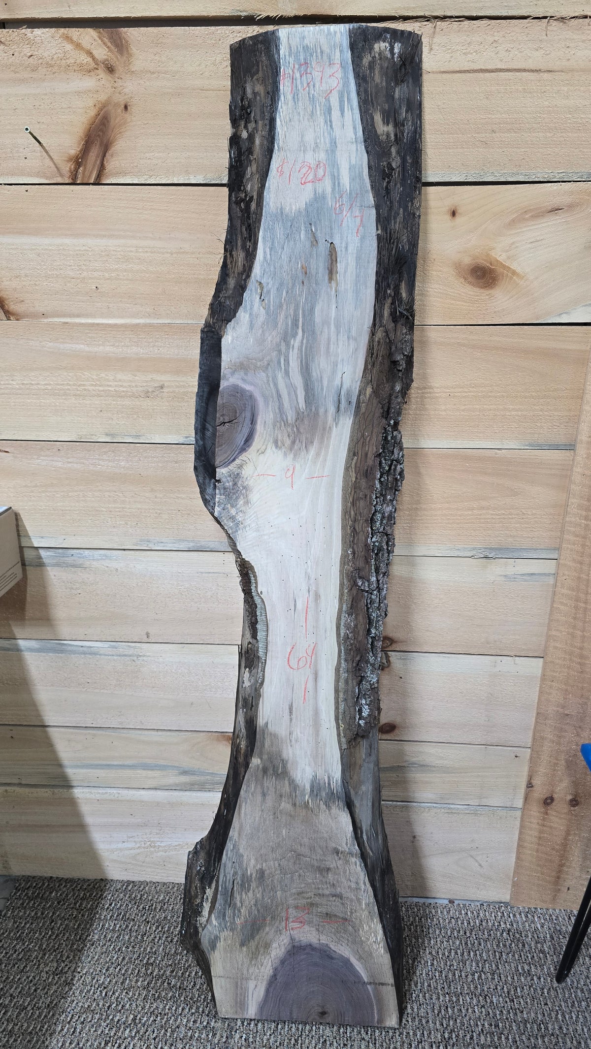 Walnut live edge slab #1393, view 1