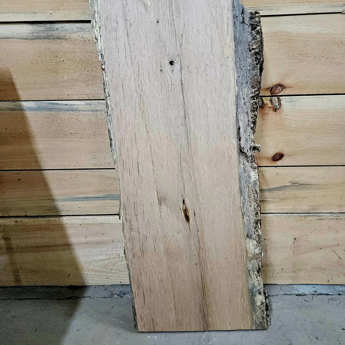 1963 White Oak Live Edge Slab – 43" × 12 - 13" × 8/4"