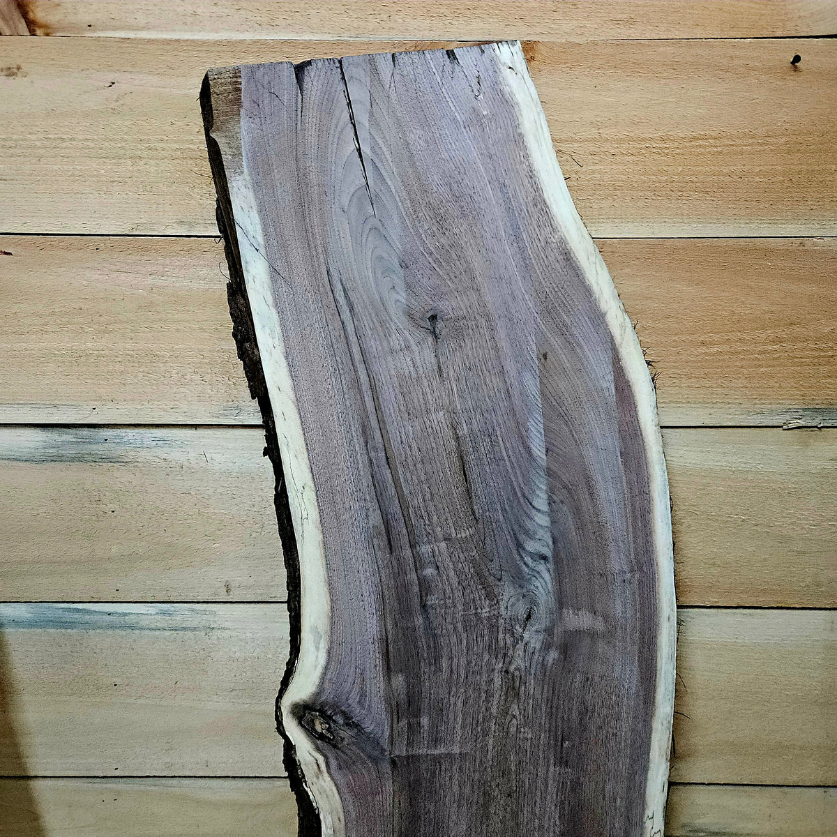 1950 Walnut Live Edge Slab – 47" × 13 - 15" × 7/4"