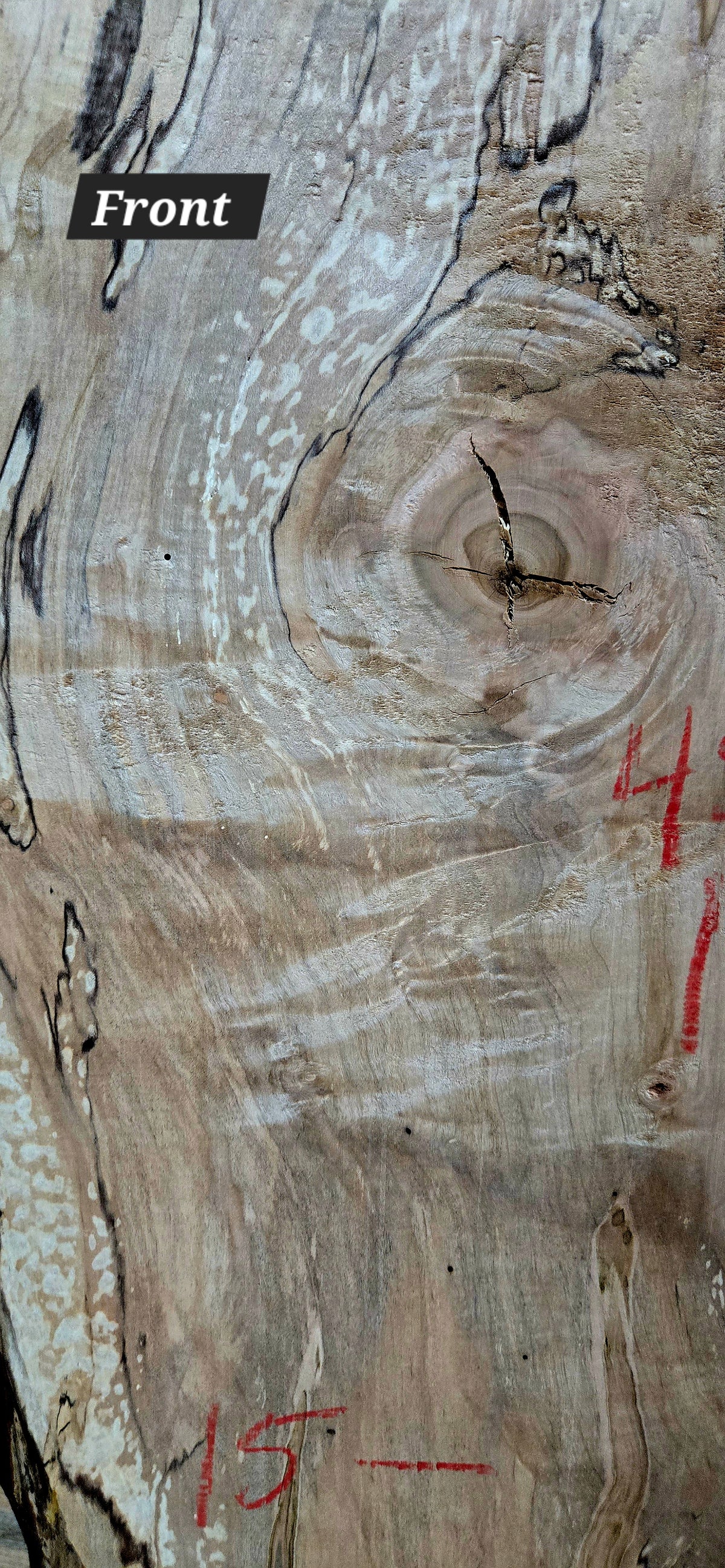 Curly Spalted Ambrosia Maple live edge slab #1842, view 3