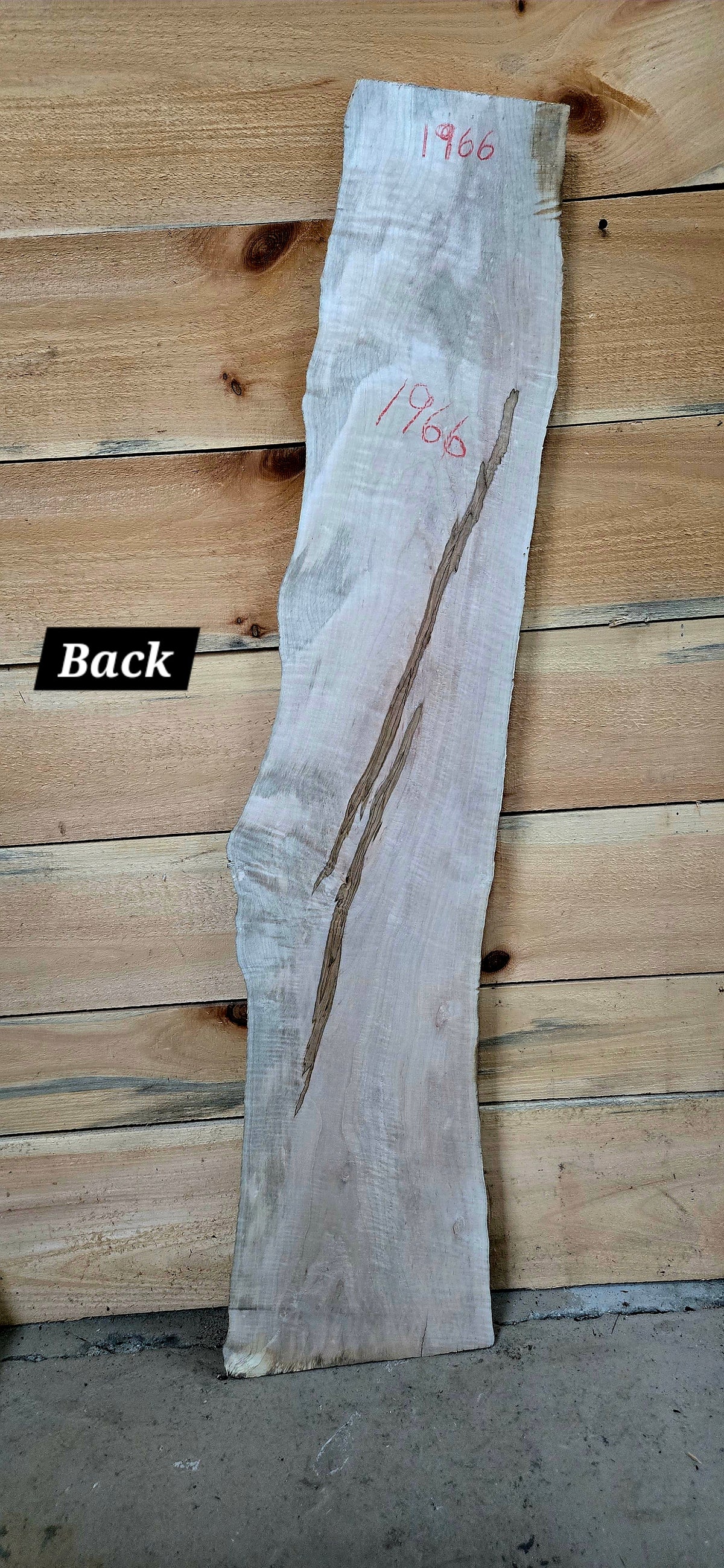 1966 Curly Maple Live Edge Slab – 52" x 5" - 7" × 6/4"