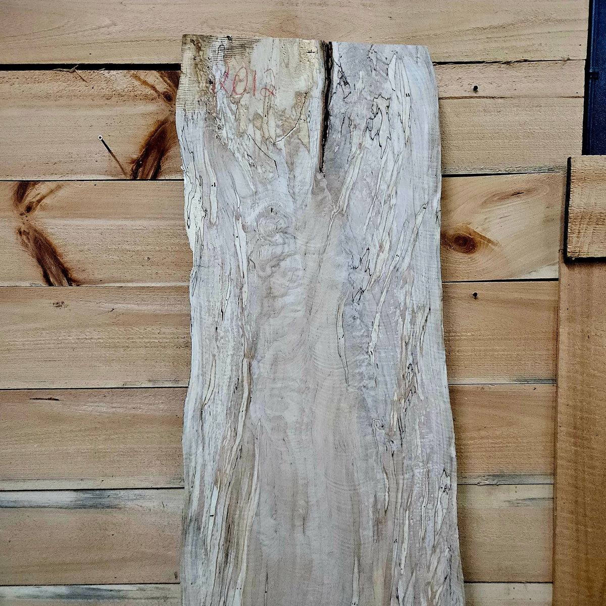2012 Curly Spalted Ambrosia Maple Live Edge Slab – 65" × 15–20" × 9/4"