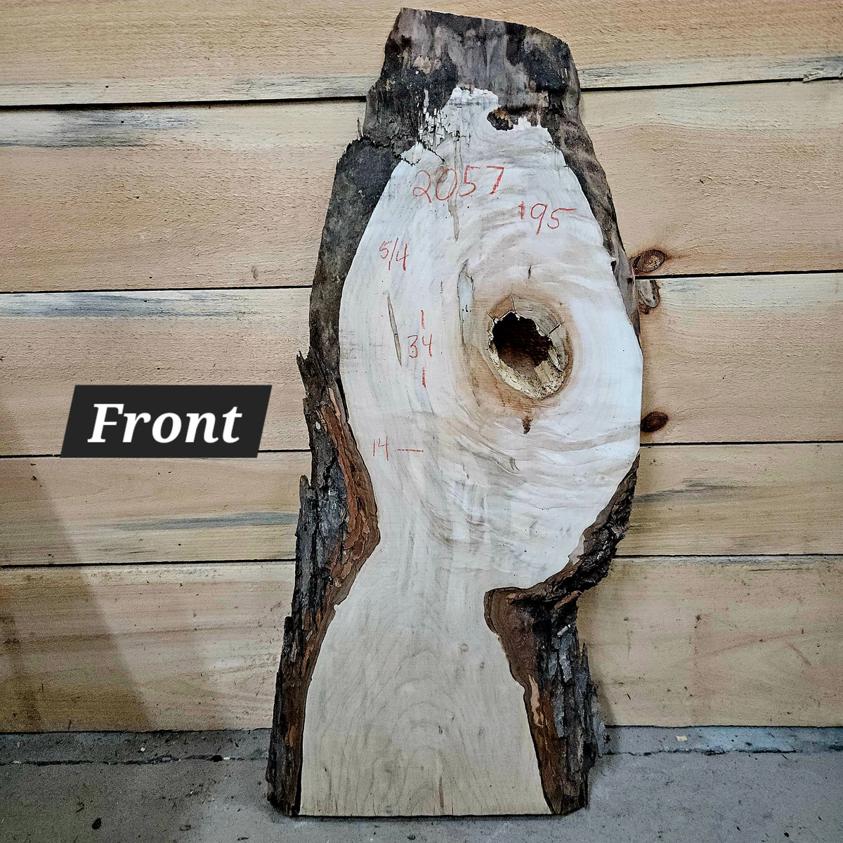 2057-1 Curly Spalted Ambrosia Maple Live Edge Slab