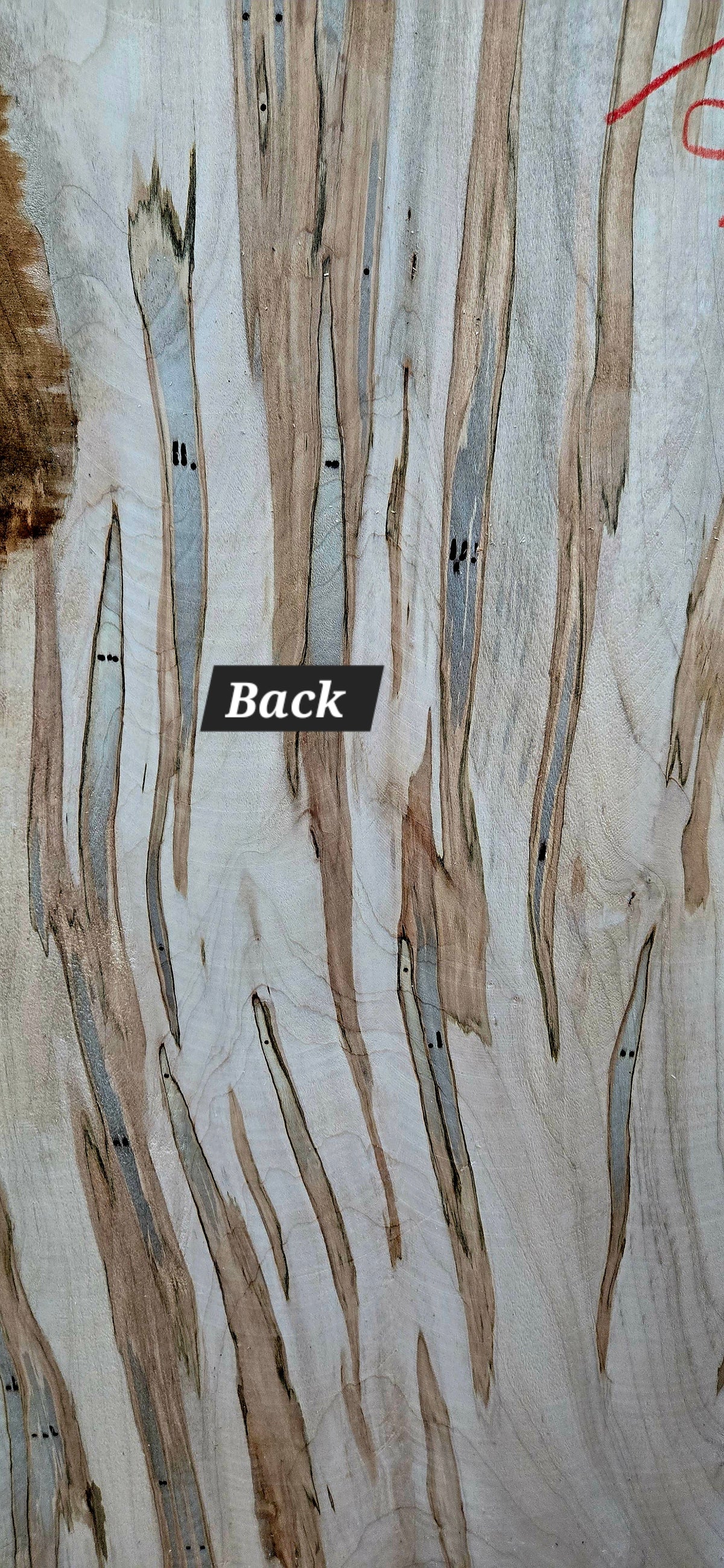 Curly Spalted Ambrosia Maple live edge slab #1840, view 5