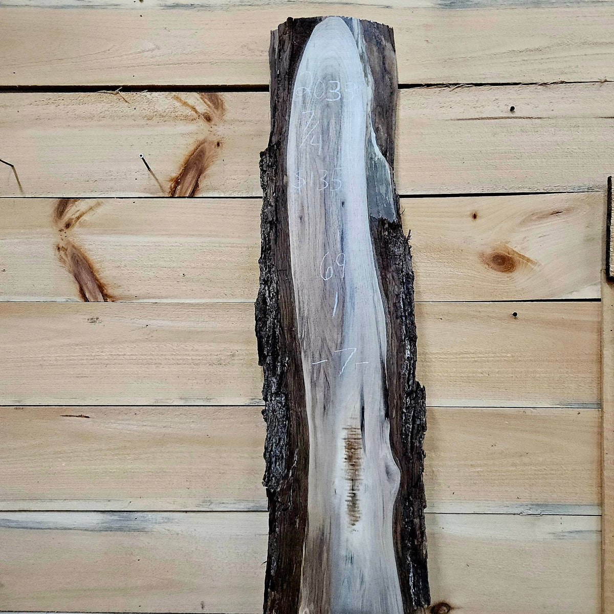 Walnut live edge slab 2033, photo 2 of 6