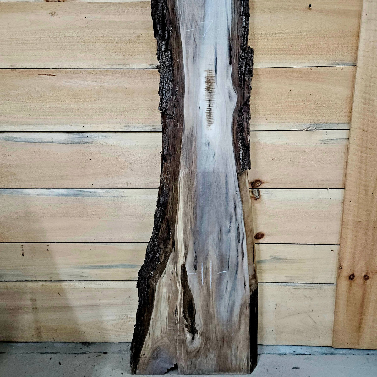 Walnut live edge slab 2033, photo 3 of 6