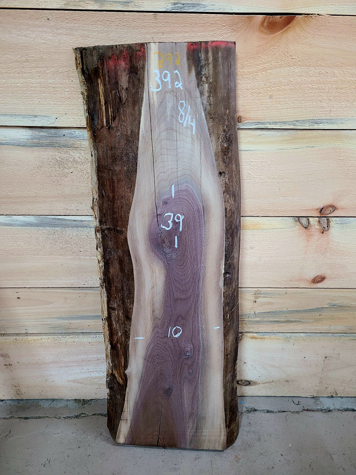 Walnut live edge slab #392W, view 1