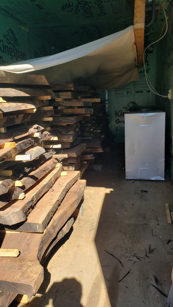 kiln loaded with live edge walnut slabs