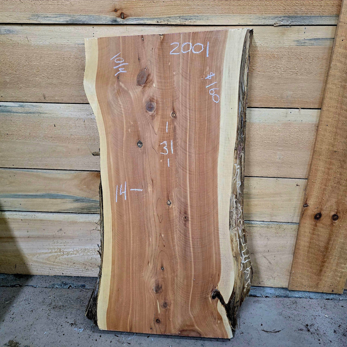 2001 Cedar live edge slab, 31 inches long and approximately 10 3/4 to 14 inches wide
