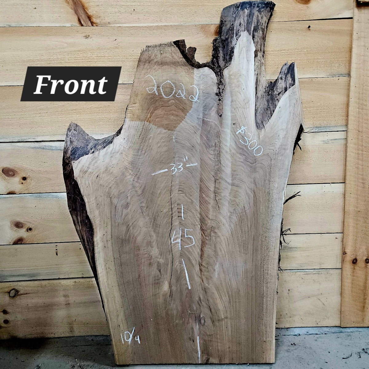 2022 Black Walnut live edge slab, 45 inches long by 19 to 33 inches wide by 10/4 inches thick