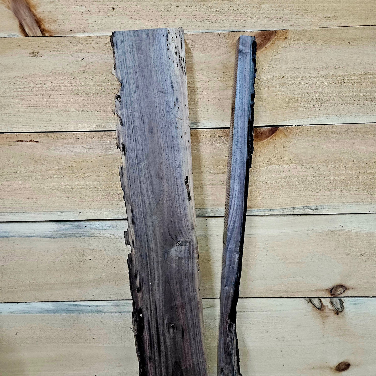 Walnut DIY bundle 2023-1 back upper detail