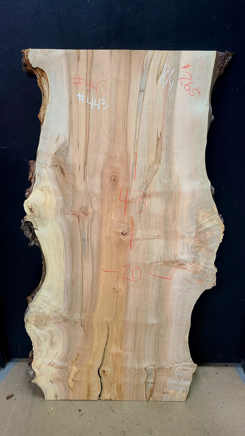 443 Burl Maple