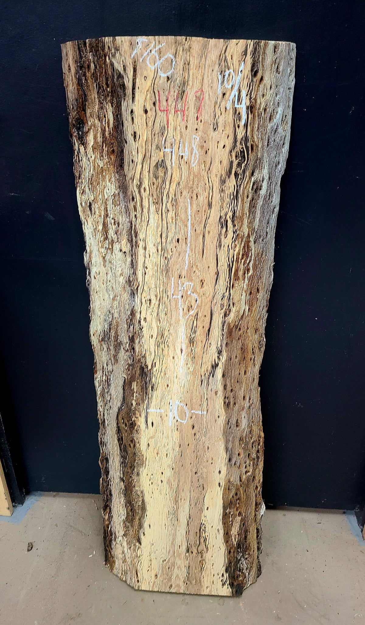 White Oak live edge slab #448, view 1