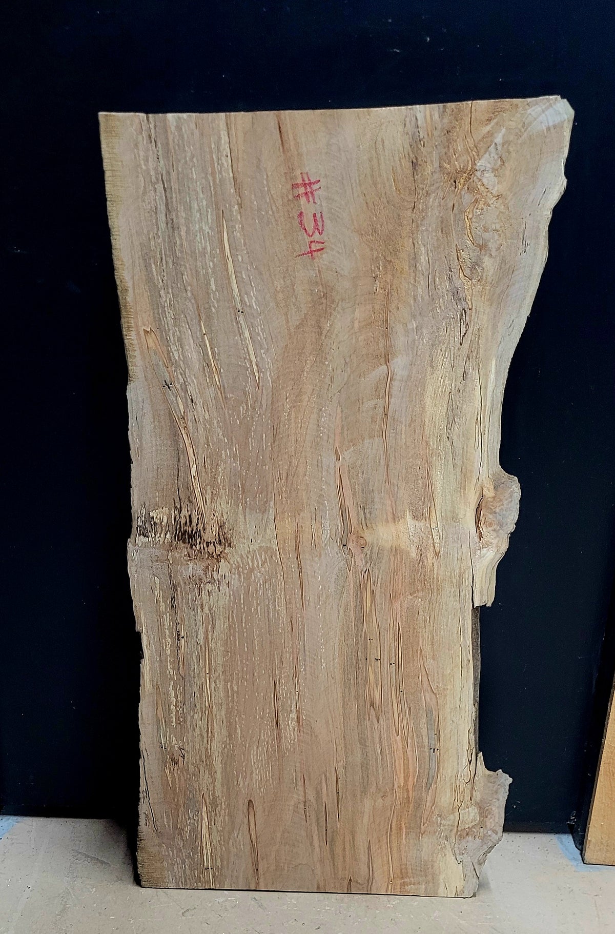 Curly Ambrosia Maple live edge slab #34, view 2