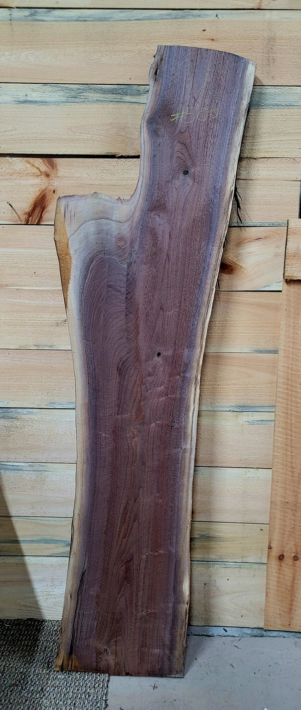 500 Walnut live edge slab