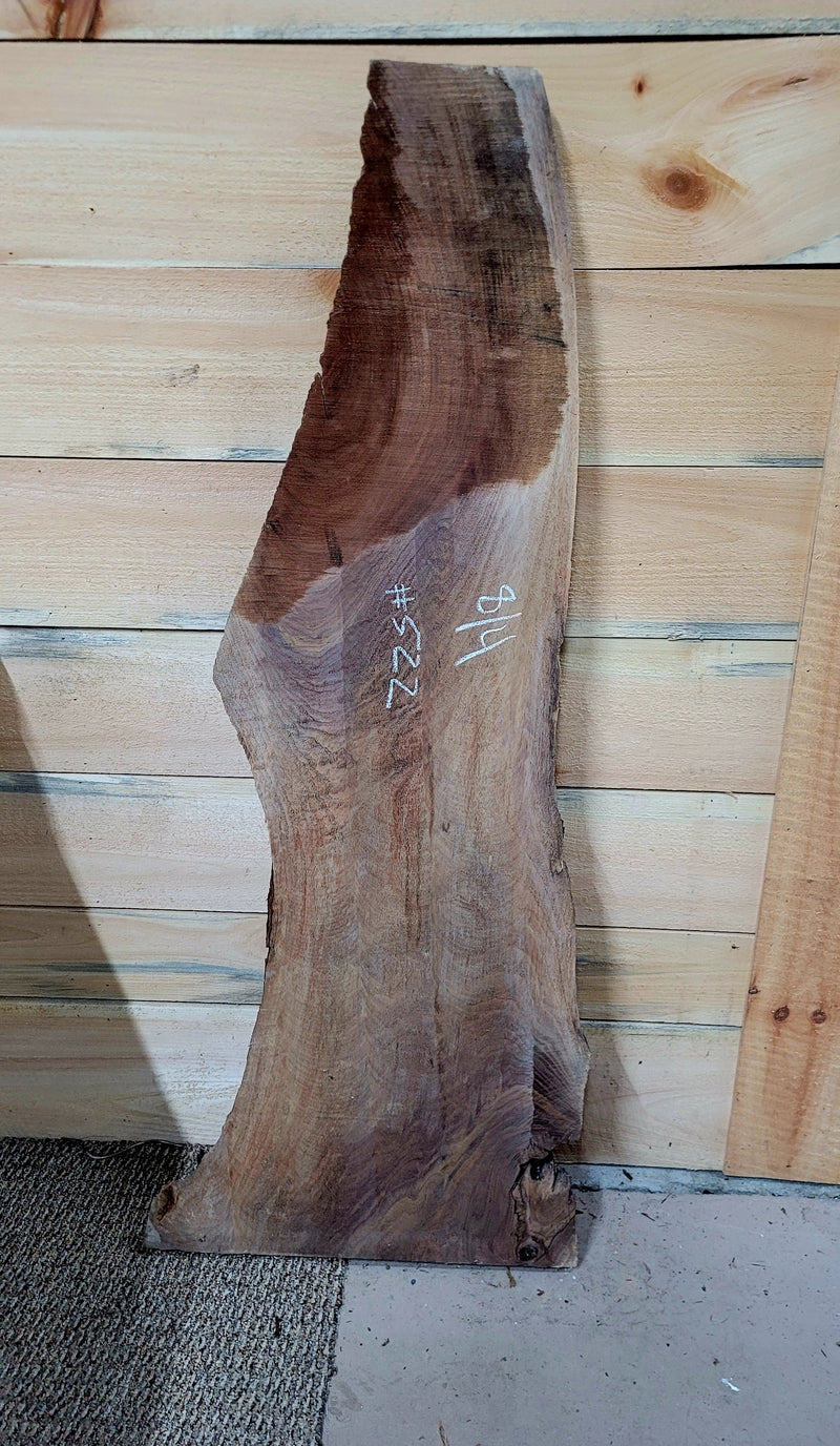 522 walnut live edge slab