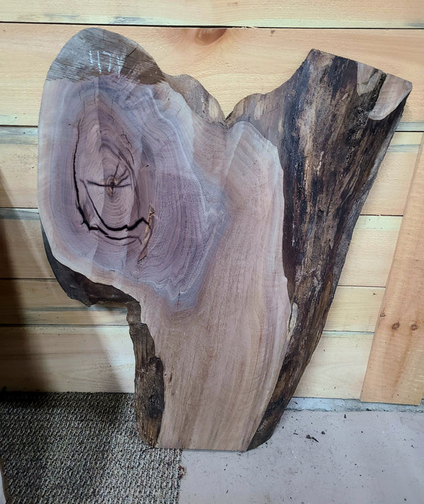 471 Walnut live edge slab