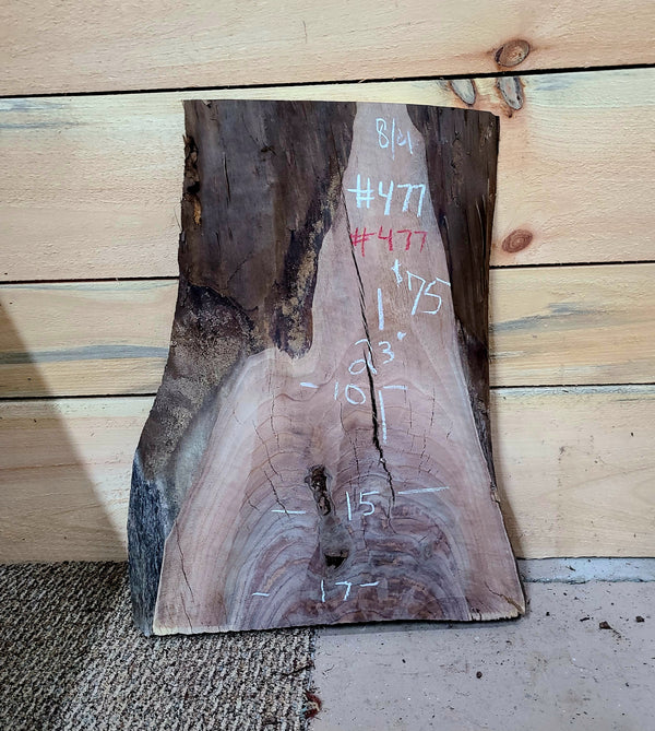 477 Walnut live edge slab