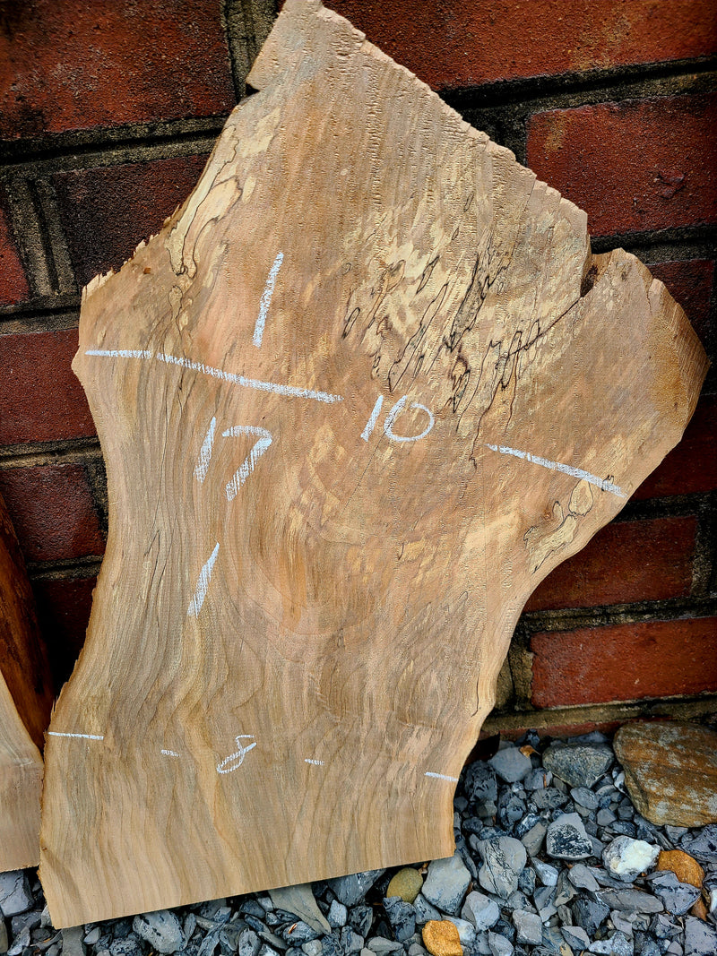 529 Spalted Maple Live Edge slabs(4 pieces)