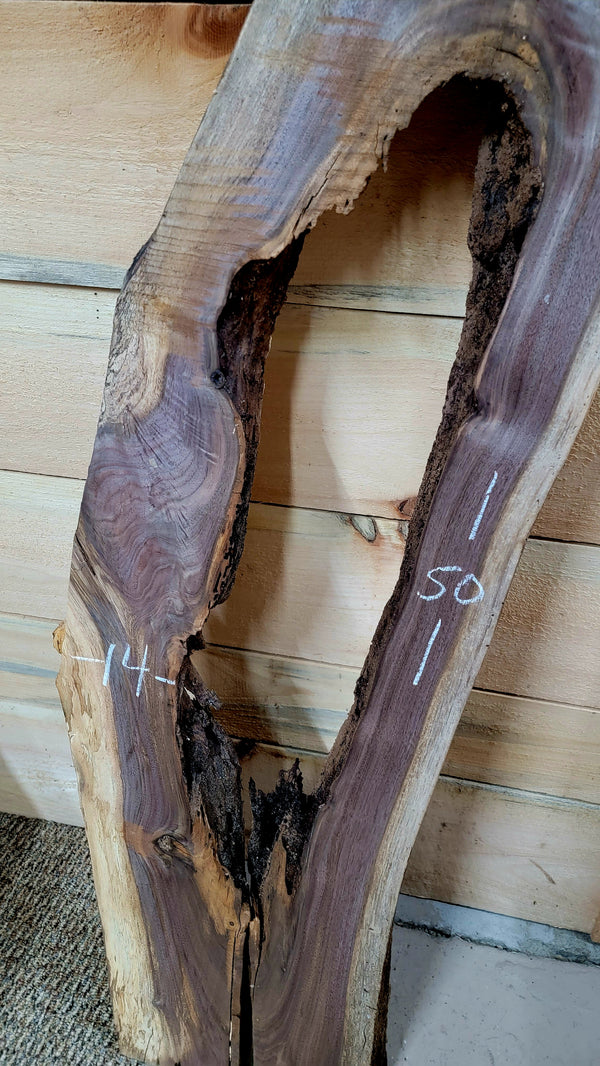 552 Walnut live edge slab