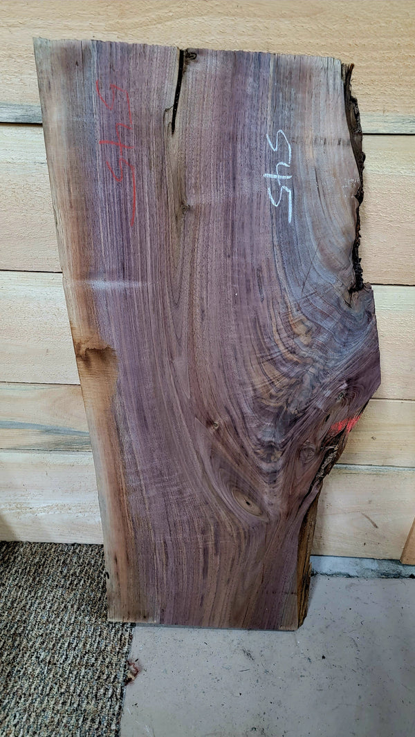 545 Walnut live edge slab