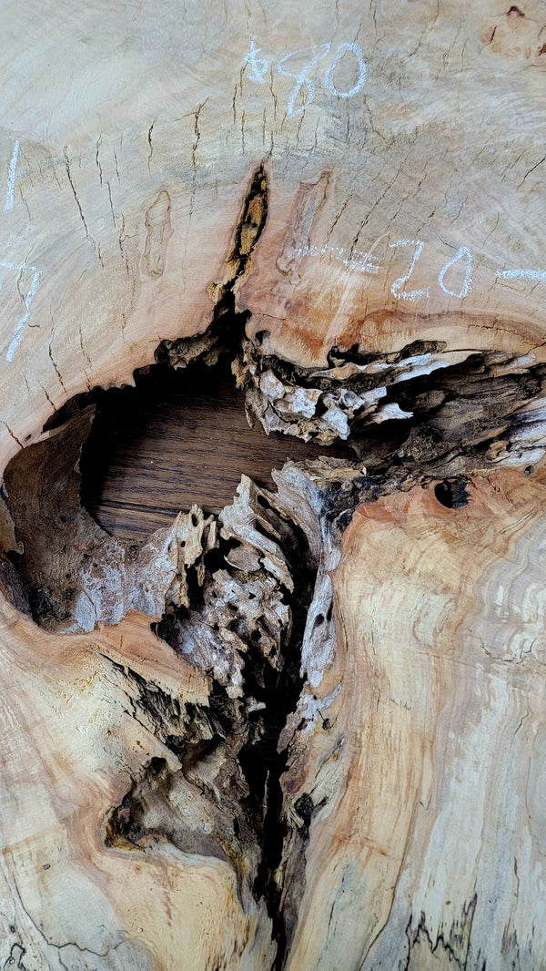 546 Maple live edge slab