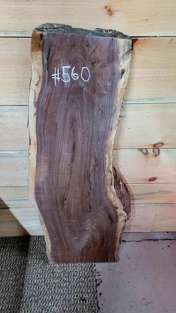560 Walnut live edge slab