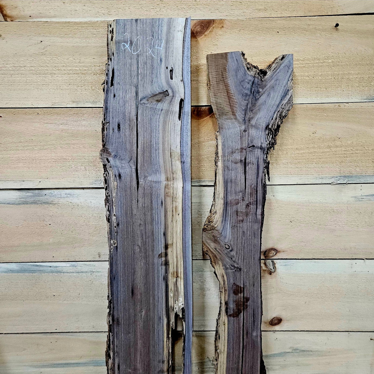 Walnut DIY bundle 2024-1, bug holes and natural detail 3