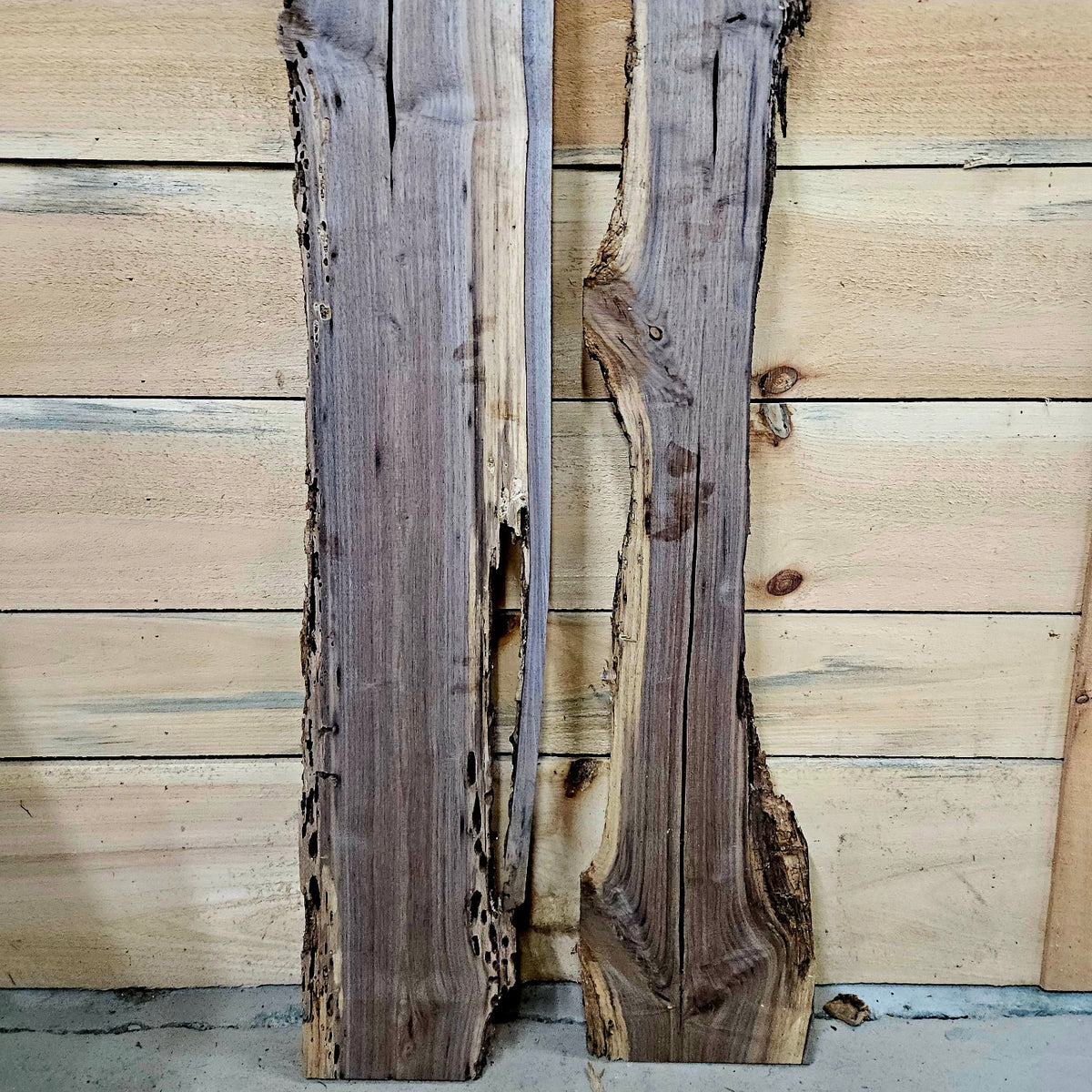 Walnut DIY bundle 2024-1, bug holes and natural detail 4