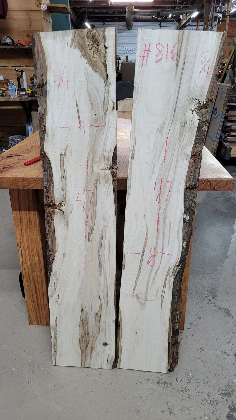 816 Ambrosia Maple DIY Bundle