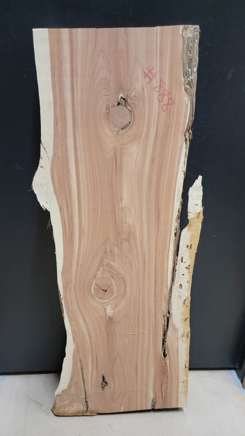 888 Cedar live edge slab