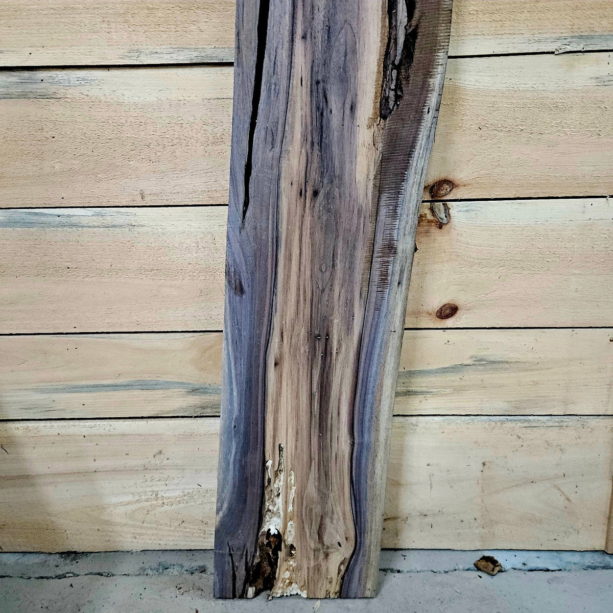 Walnut slab 2025-1, photo 6