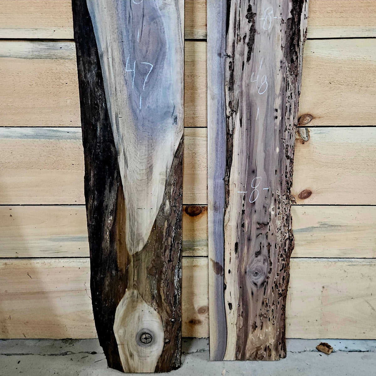 Walnut DIY bundle 2026-1, photo 3