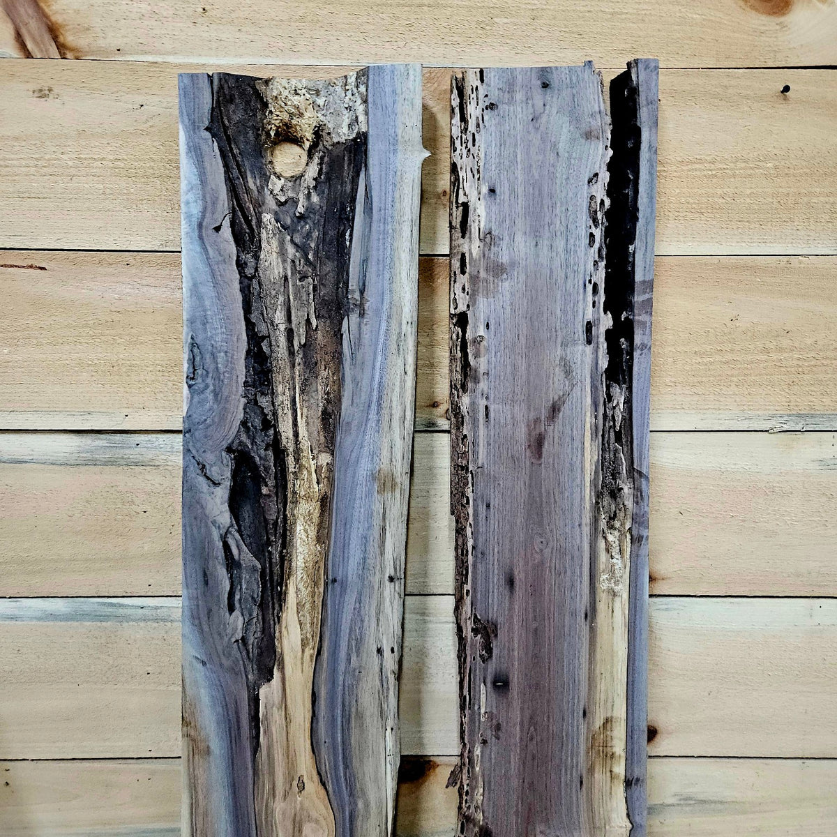 Walnut DIY bundle 2026-1, photo 5