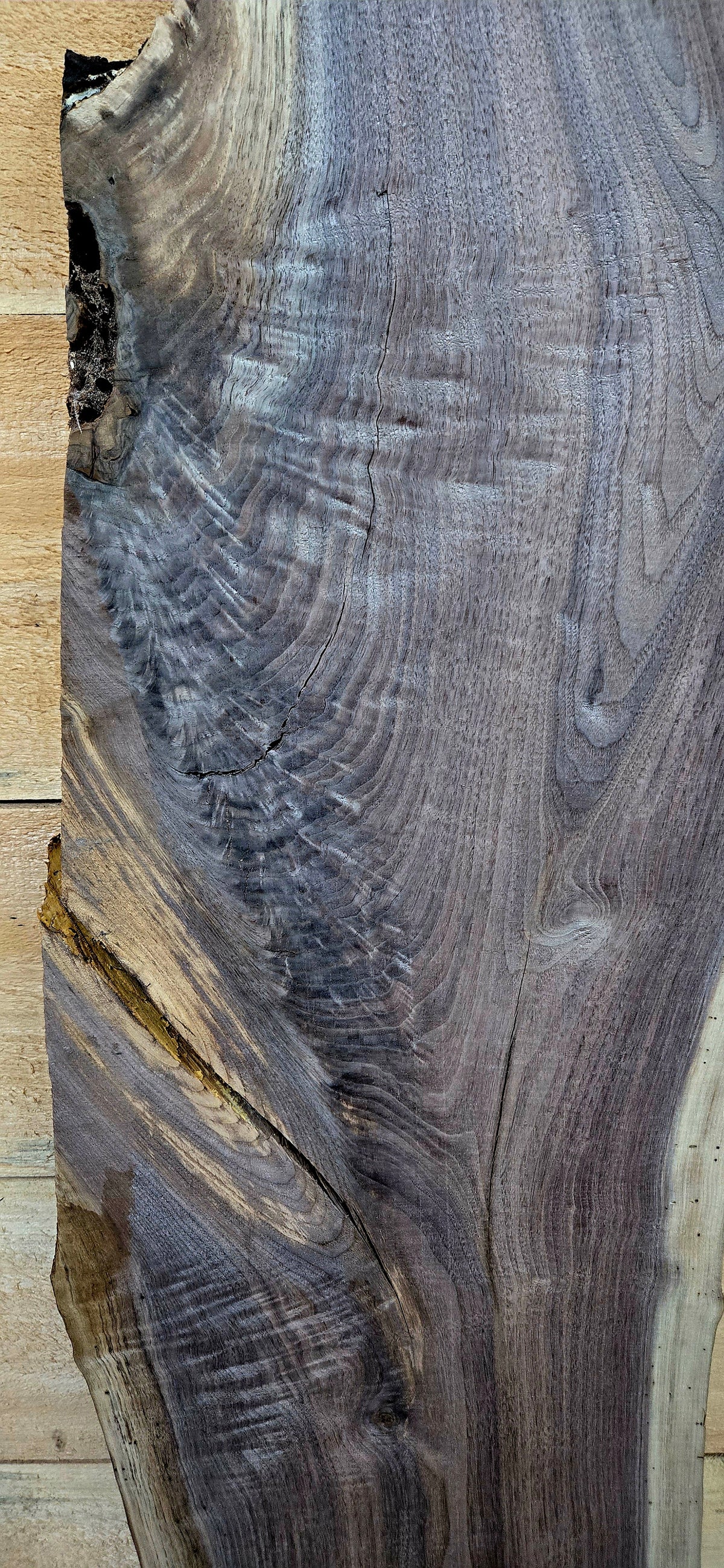 1914 Walnut Live Edge Slab – 63" x 10"-12" x 5/4" – product image 4