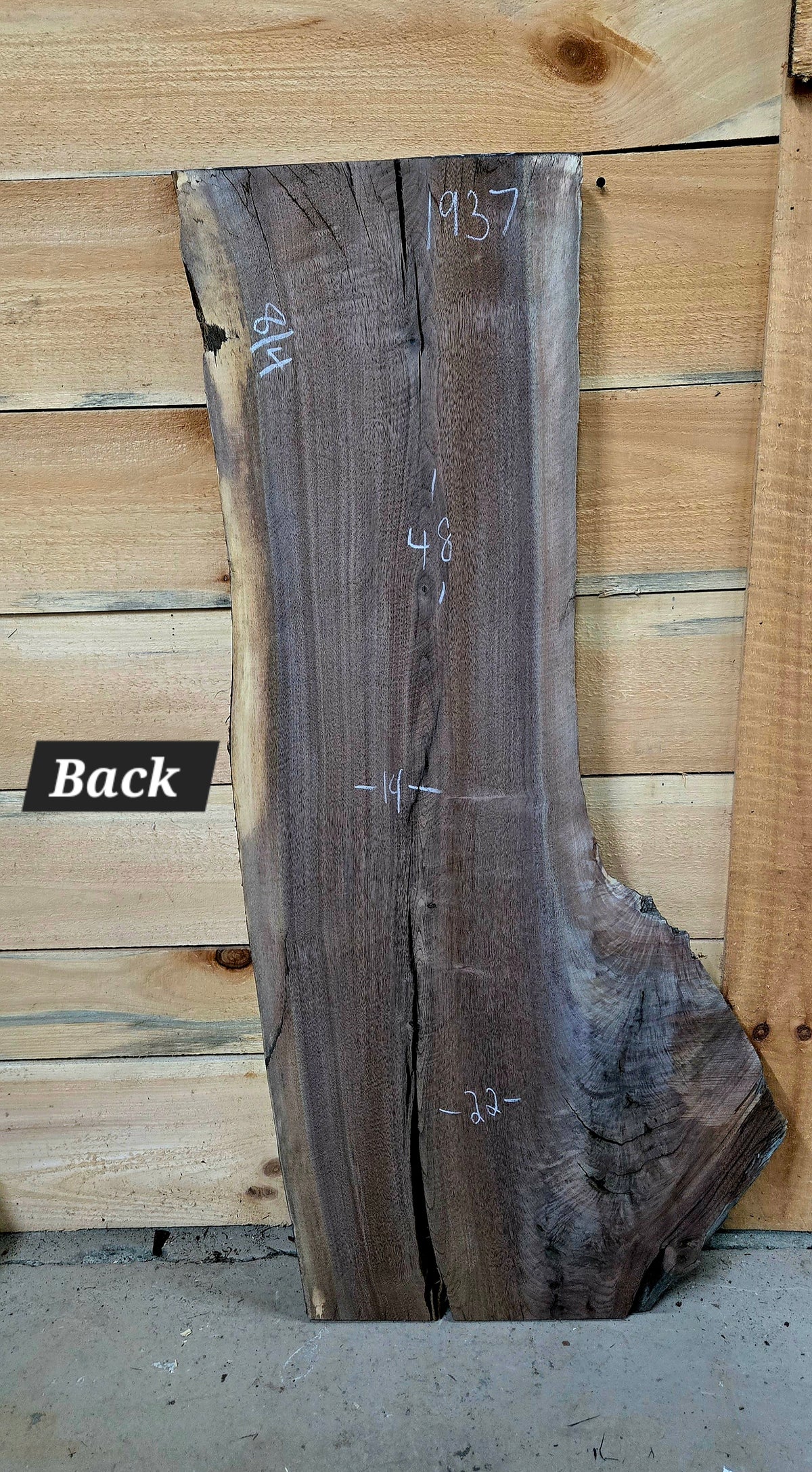 1937 Walnut Live Edge Slab – 49" × 12"-22" × 8/4" – product image 2