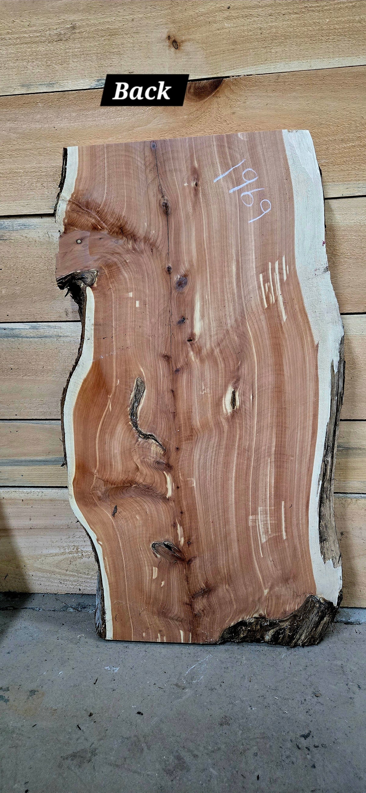 1669 Cedar Live Edge Slab – 36" × 17" × 10/4"