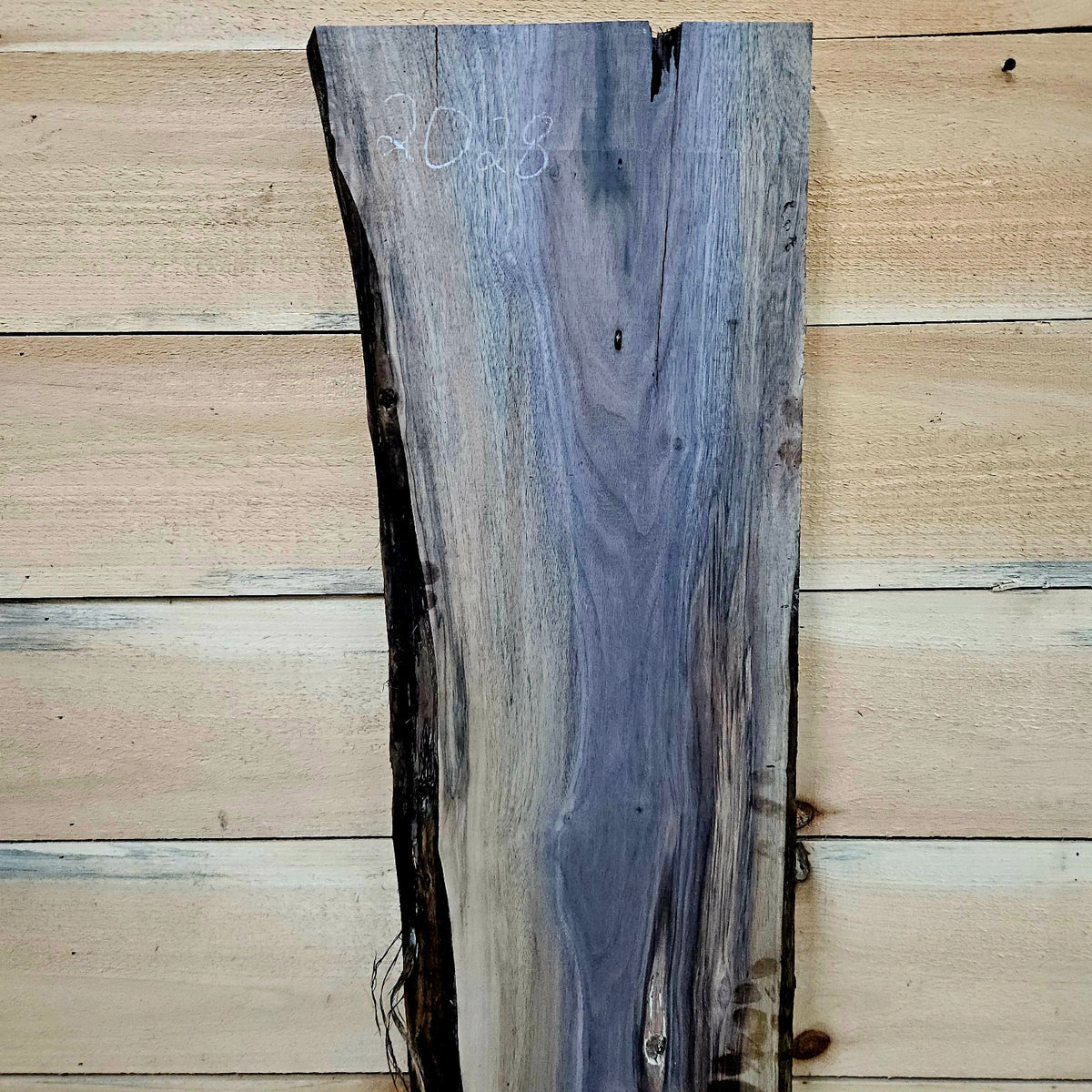 Walnut slab 2028-1, photo 6